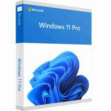 ПО MS Windows 11 64-bit Профессиональная English DVD OEM 1pk (FQC-10528)